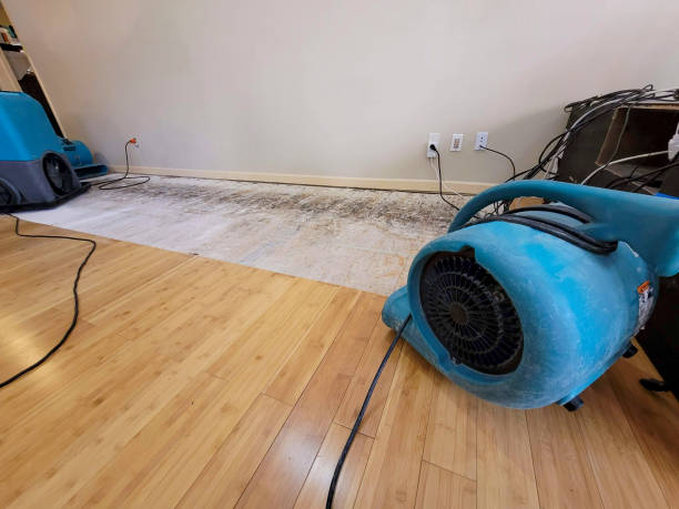 Professional Water Damage Repair technician working in Beverly, OH
